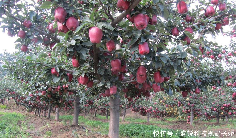 t015140c1ecfcd367c1.jpg?size=1000x584