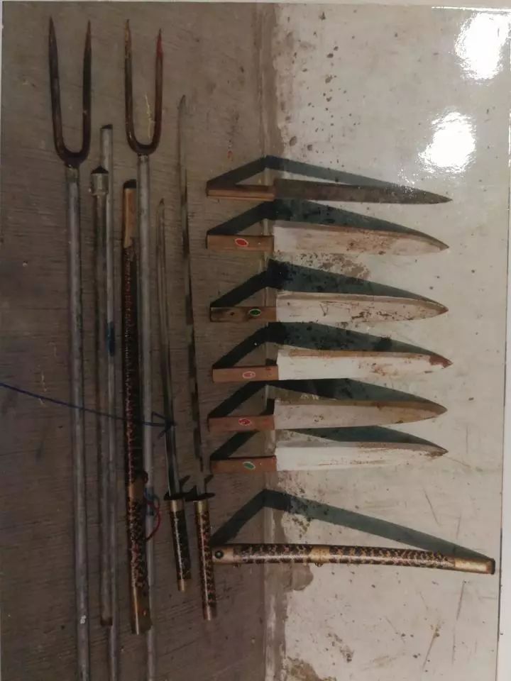 t01521594d6a31fdba1.jpg?size=720x960