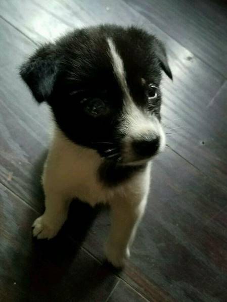 2c3300021feccc60343f