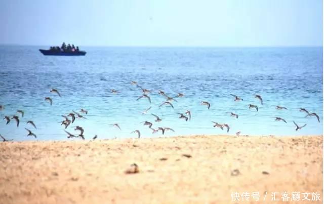 清明小长假,我想去这9个绝美的地方踏青!