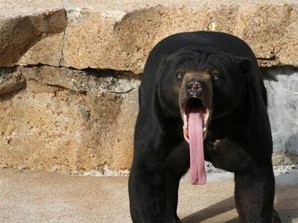 �@Щ��������������_(d��)���Һ�С��邃���@���ˡ�����