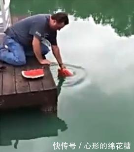 国外男子用西瓜钓鱼,原因是为了证明西瓜能钓