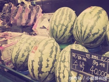 一个西瓜高达二百多元,什么原因导致韩国蔬菜