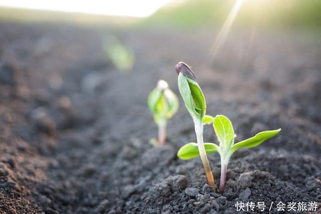 星光不问赶路人,时光不负有心人!