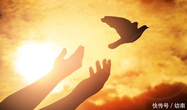 2018高考本科滑档80万余人,2019考生牢记4个