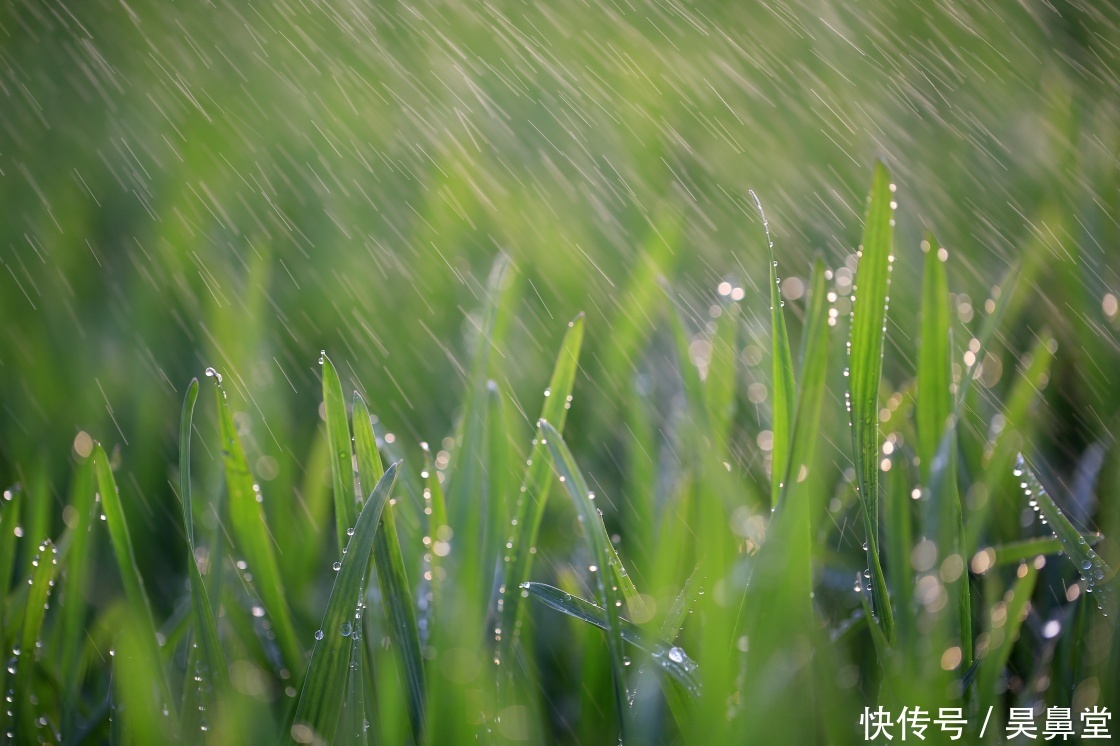 下雨天鼻炎就加重,到底是怎么回事?