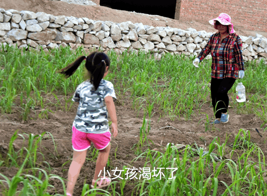 小女孩住在帐篷里帮奶奶捡垃圾, 同样都是小孩