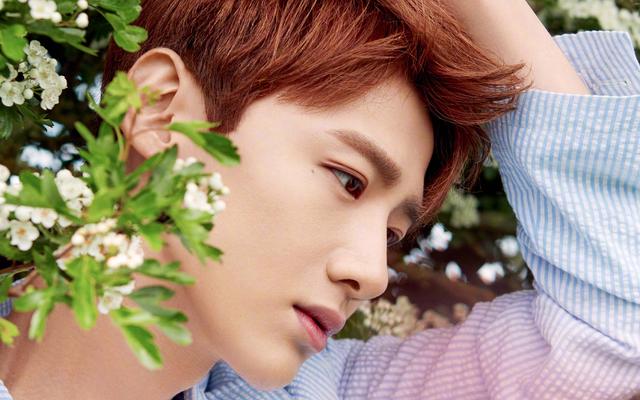 刘昊然白敬亭胡一天黄子韬鹿晗早些年不为人知