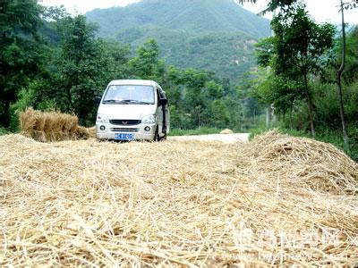 农村人为什么喜欢在公路晒粮食，目的你想不到