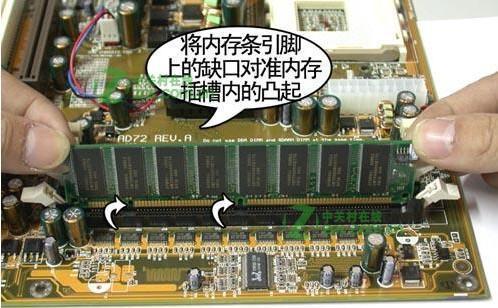 t01579a0f311556ab41.jpg