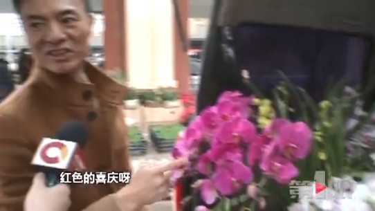 买鲜花过年成时尚 繁花盛景年味浓浓