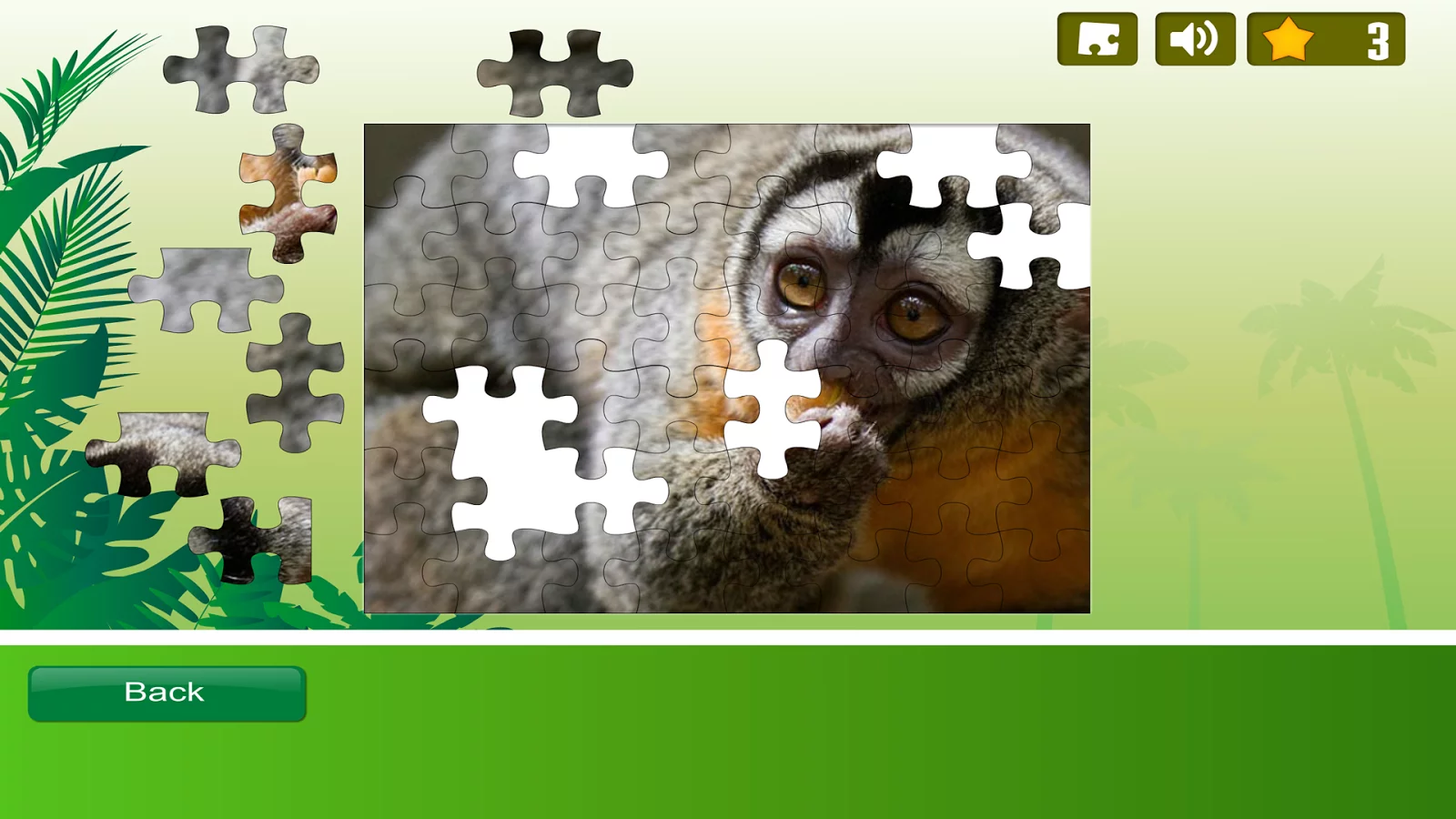 Rainforest Animals Puzzle截图13