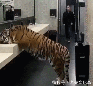 搞笑gif: 女神的样子好严肃,我还是比较喜欢她笑的样子!