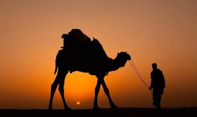 沙漠骆驼 主唱被解约,蹉跎着岁月却欺骗了自我, 抄得如此豪迈洒脱 