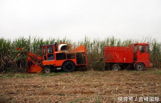 古巴这下愁坏了,4000吨农作物囤积没人要,中国