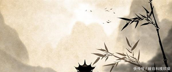 白居易著名的杀人诗,读完感觉很普通,一孀妇