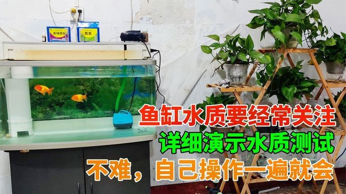 山南魚(yú)缸售后維護(hù)中心