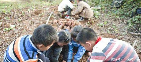 红薯种植管理前期土质水量很关键,后期看叶子