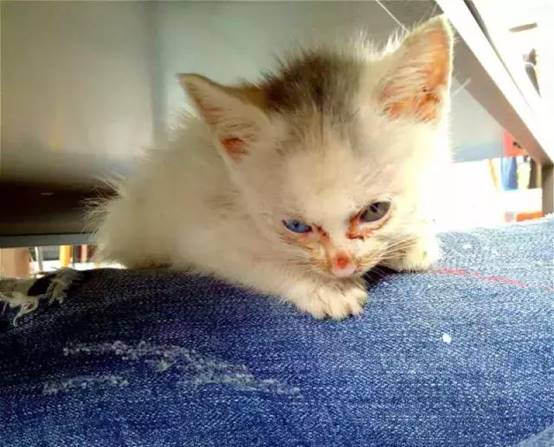 2c480000e8dc59fe411e