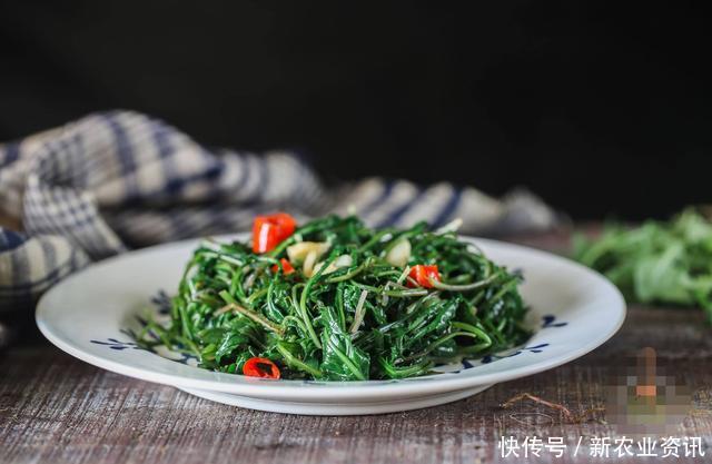 在农村很常见的野草,可治疗痢疾和肌肤瘙痒,见到记得摘点回家 百万发注册地址