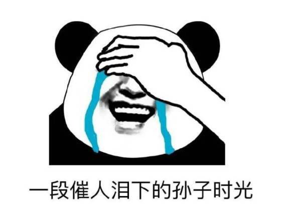 点击查看大图