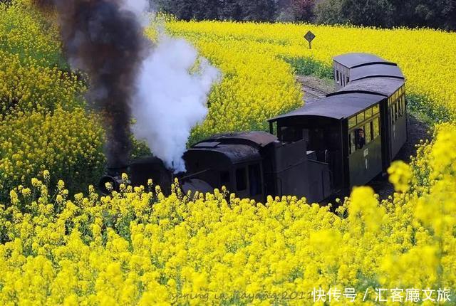 嘉阳蒸汽小火车，坐上去就开往春天