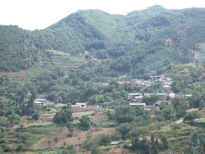 村情概况 大尖峰村隶属于金牛镇尖峰行政村,属于山区.