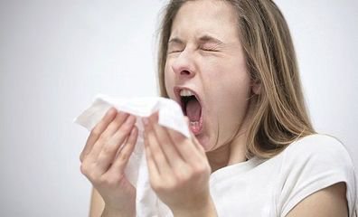 憋一个喷嚏 相当于吃掉30万个细菌 - 天地人 - 天地人和 憋一个喷嚏 相当于吃掉30万个细菌 - 天地人 - 天地人和