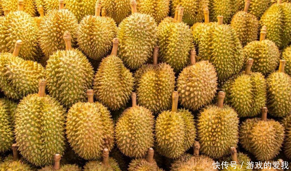 为啥一棵榴莲树结上百个榴莲,却还卖那么贵呢