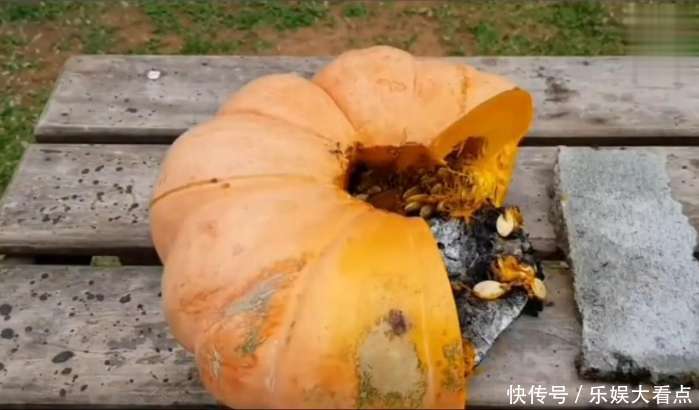 男子700℃高温铝水直接倒入南瓜中,竟然意外弄出来个这玩意!