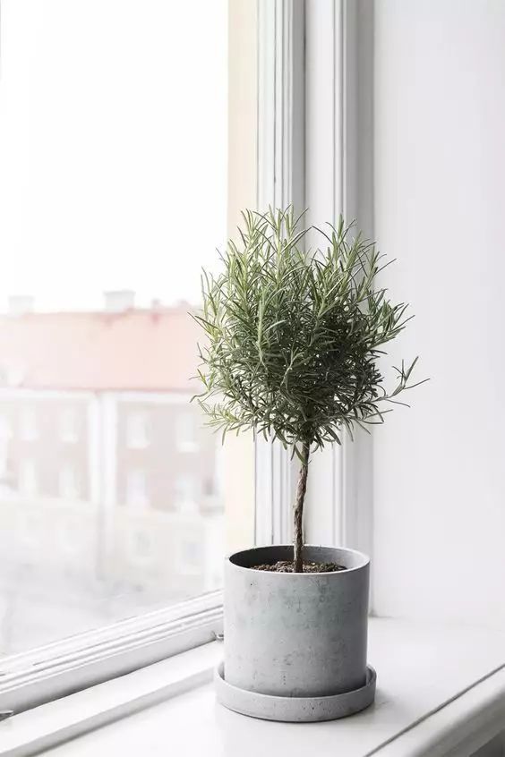 满满都是干货!绍兴人看完这篇文章,不懂装修也不怕被坑了