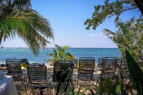 旅游业的开端 t01640e619cabed2b2b.jpg