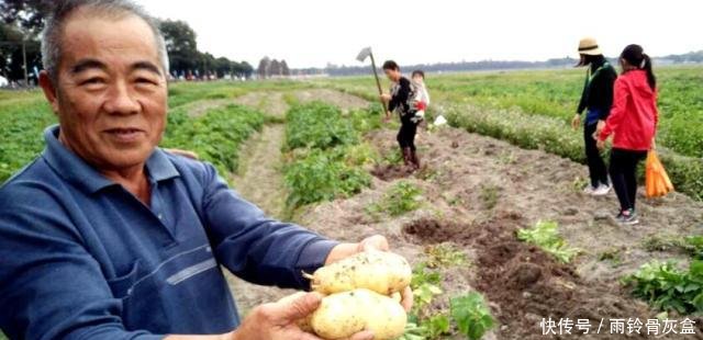 农村土地流转新政策