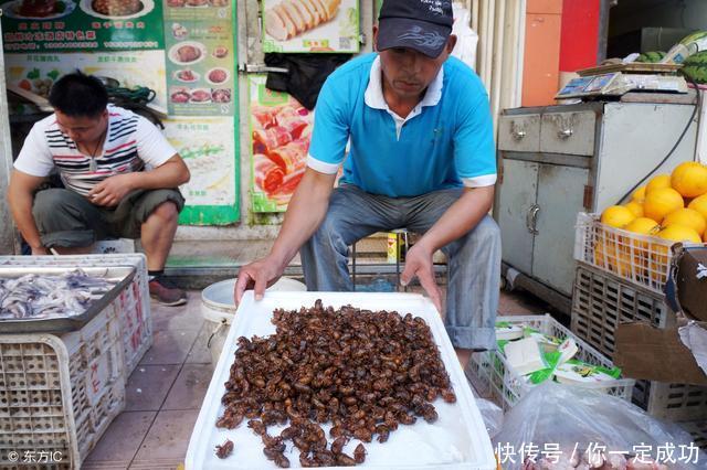 夏天到了，农民靠这两种野货，每年都增加不少收入，有人赚上万块