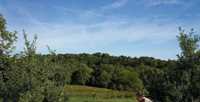 什么是农村合作社