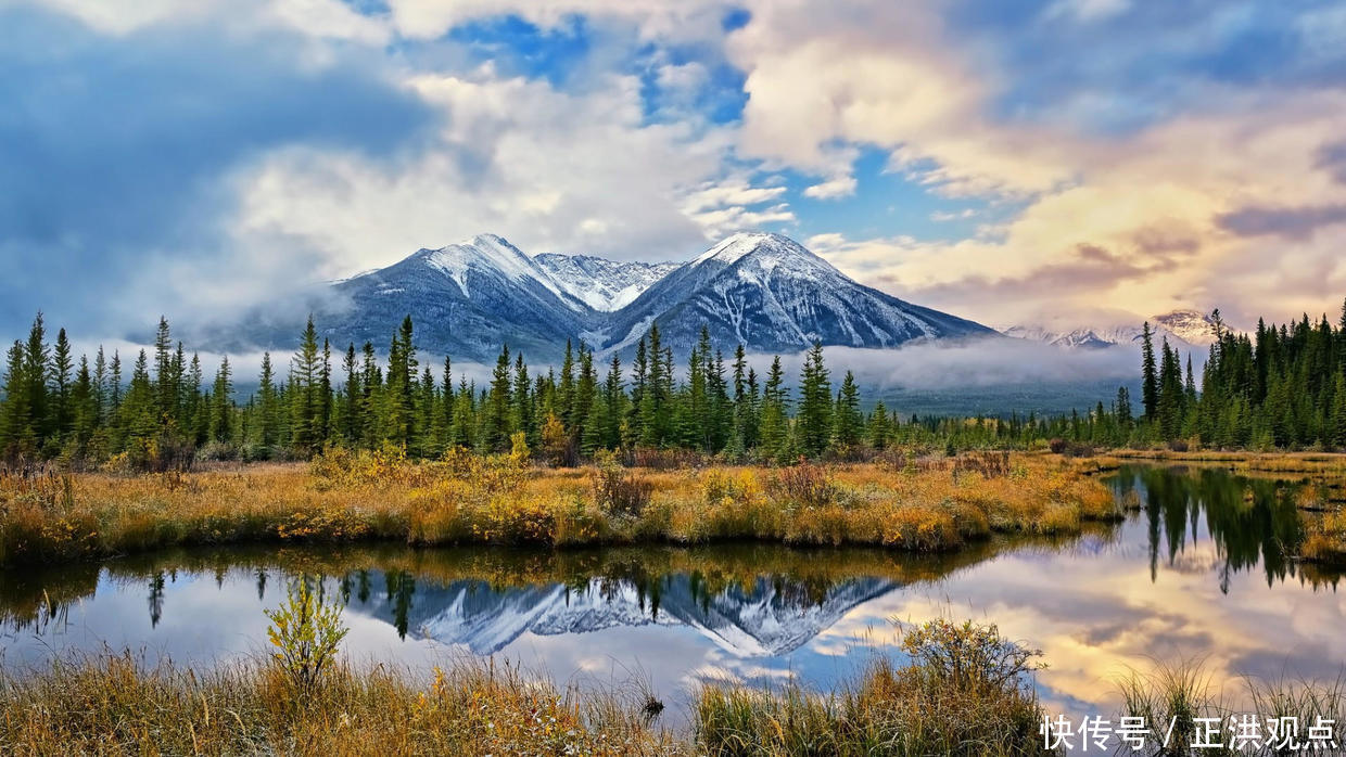 做精致的利己主义者没有什么不好