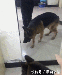 车船使用税怎么交