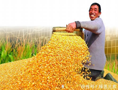 乡村振兴战略将改变什么,农民得到哪些切身福