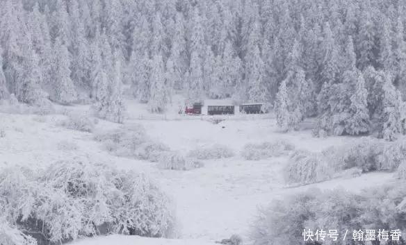 t016edf2738a9387c26.jpg?size=584x353