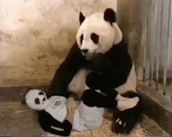 搞笑gif:我去,吓我一跳 - 360娱乐,你开心就好