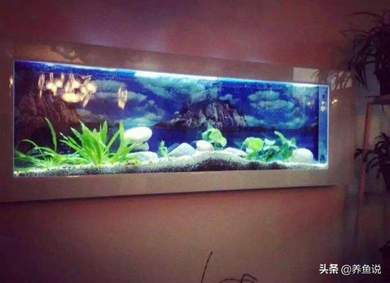 金海王魚缸售后維修電話（金海王魚缸售后維修電話號碼） 祥龍水族醫(yī)院