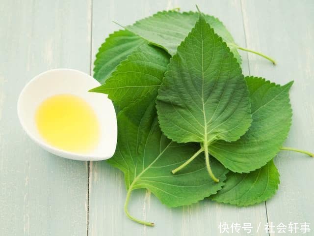 20岁大学生八百米赛跑后猝死,医生叹息:2个习