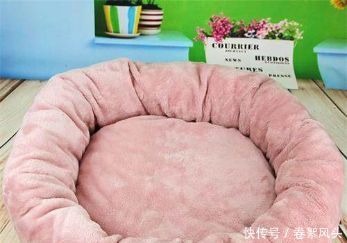 养宠趣闻狗狗咳嗽吃什么药见效快,狗狗一直卡