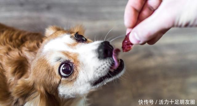 企业信息登记号