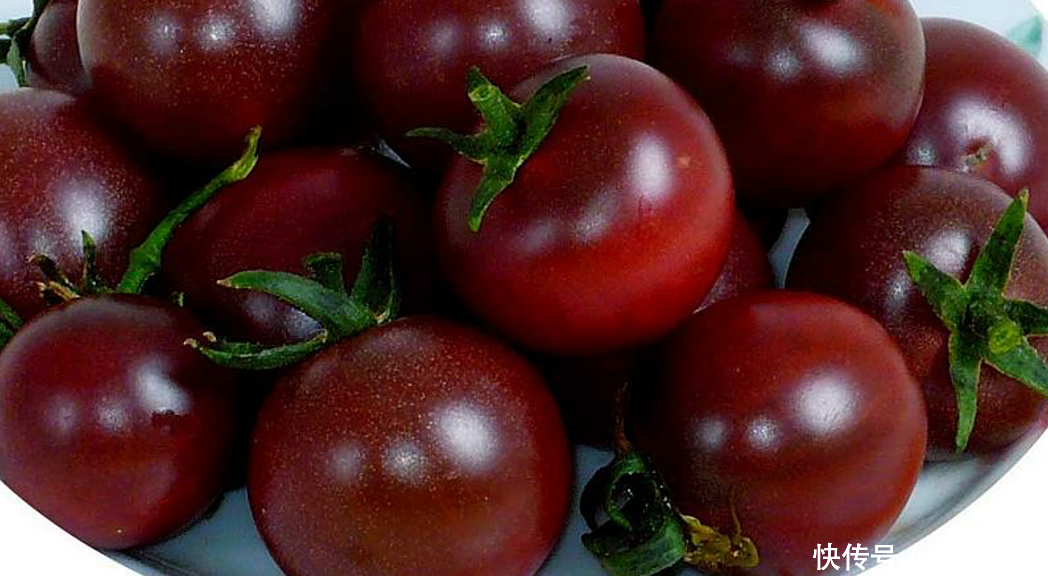 农村创业,种植黑番茄,可以赚大钱,你心动吗?