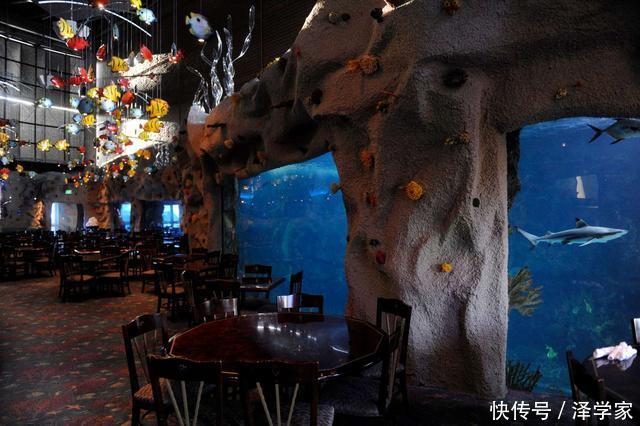 世界上10家风景和味道独特的水下餐厅,中国一处上榜