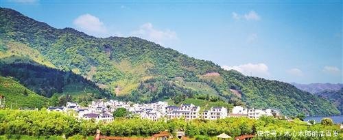 寄洗衣机用什么物流