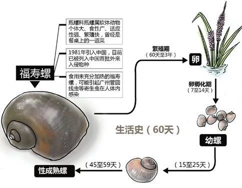 t0174d444f19d7570f6.jpg?size=484x376