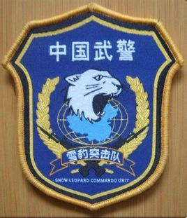 解放军十大特种部队曝光