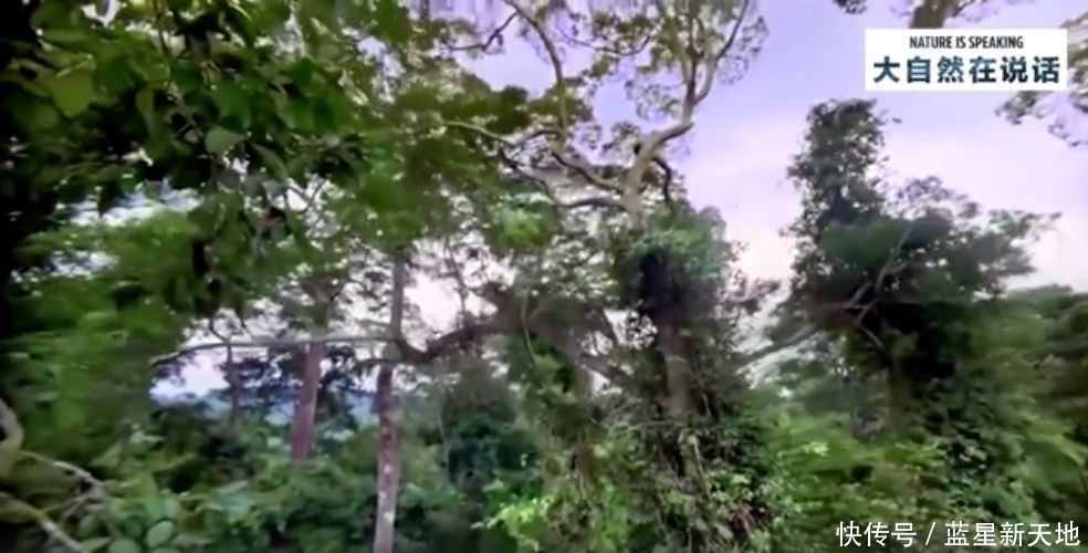 t0177a58351158d02d2.jpg?size=984x500